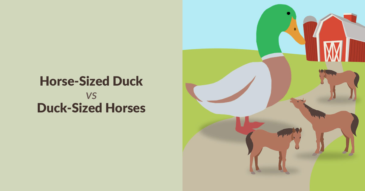 Horse-Sized Duck vs Duck-Sized Horses Horse-Sized Duck vs Duck-Sized Horses