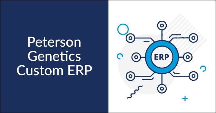 Custom ERP