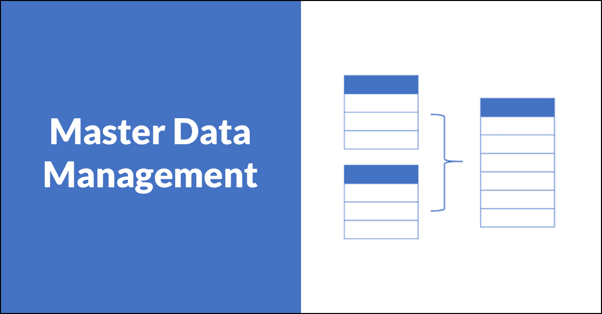 Master Data Management